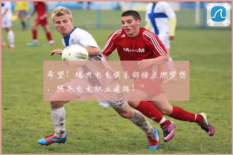 希望！瑞典电竞俱乐部榜点燃梦想，照亮电竞职业道路！