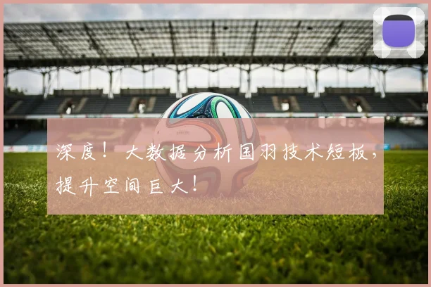 深度！大数据分析国羽技术短板，提升空间巨大！